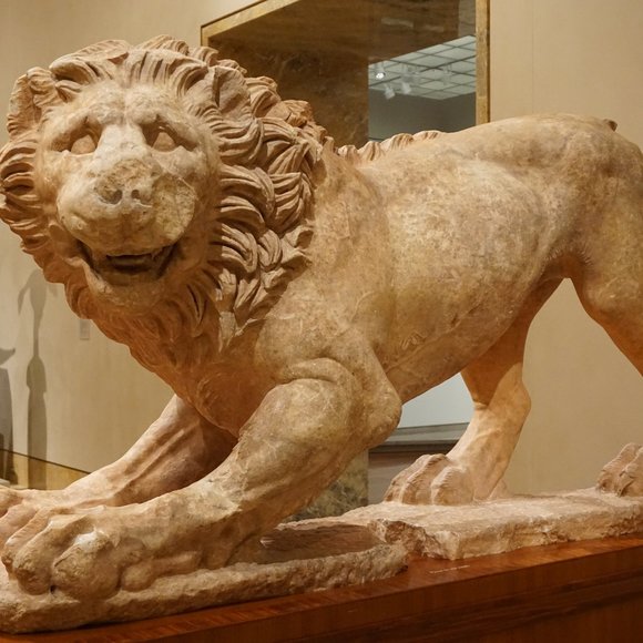 Meet your Posher, Teri - Picture 6 of 16